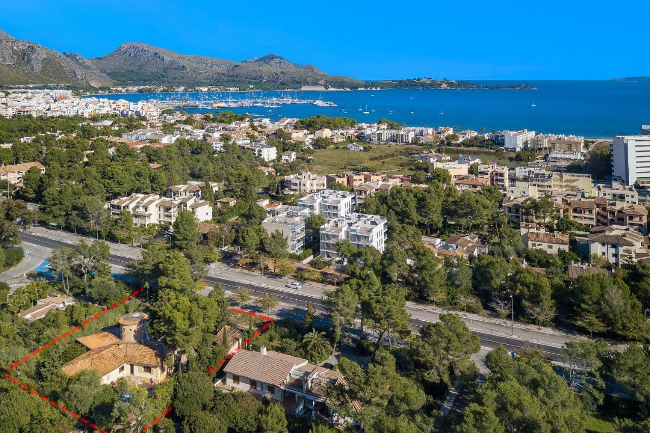 Falco Villa Pollença